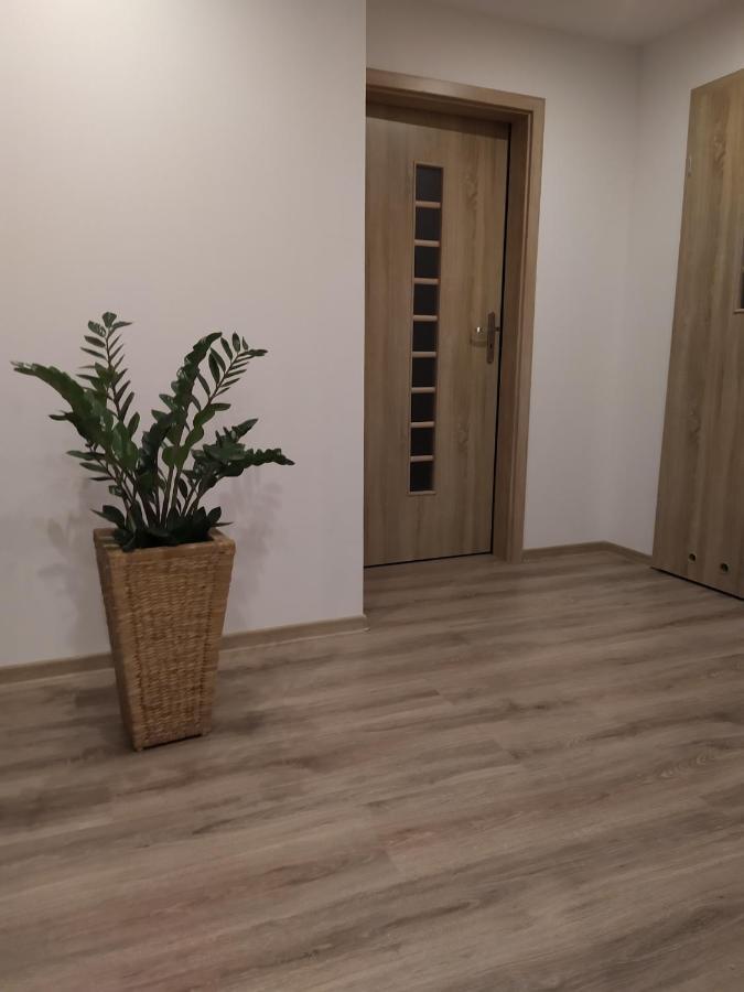 Apartament Kaola 耶莱尼亚古拉 外观 照片